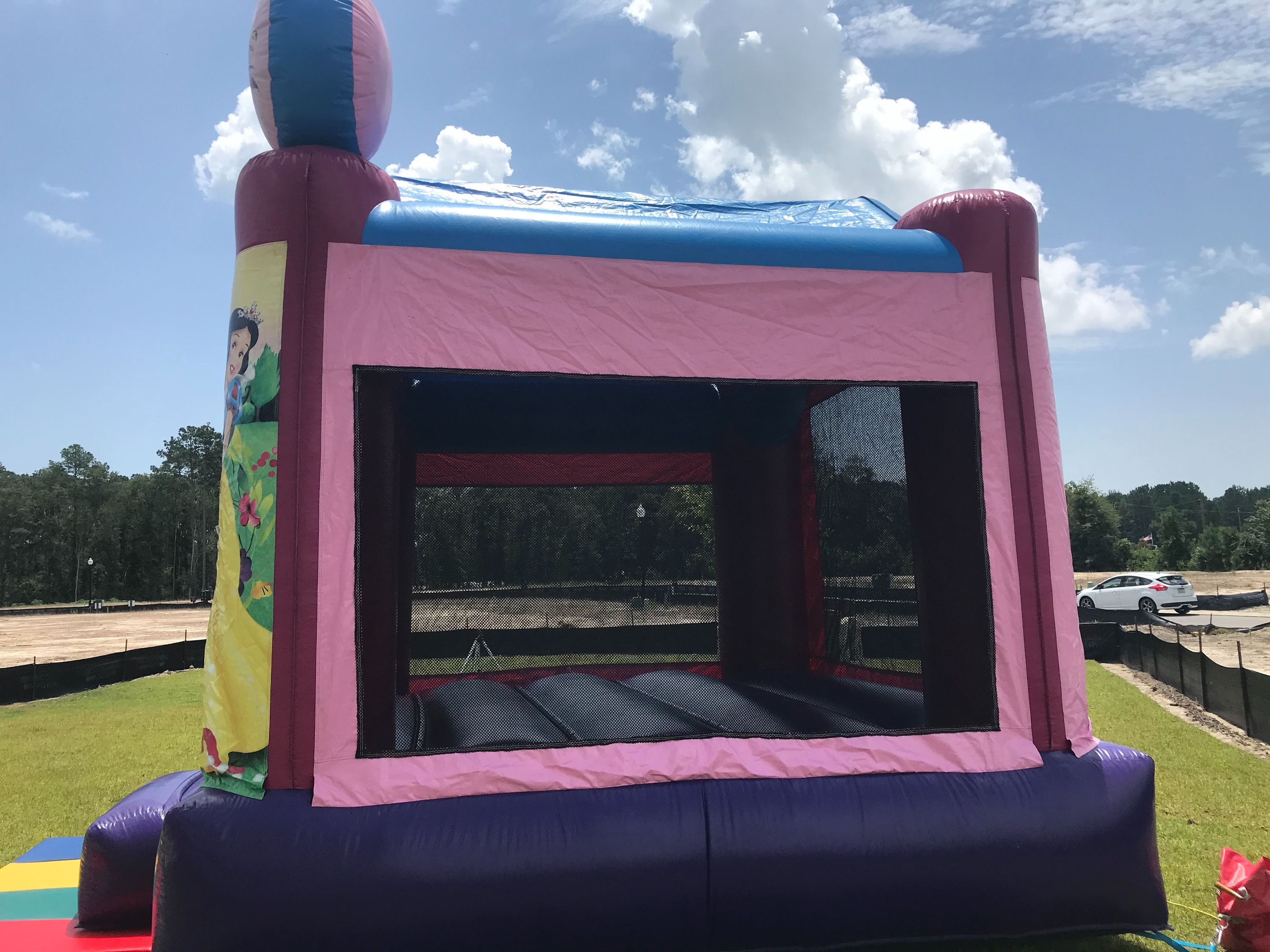 Disney Princess Bounce House 123 Jump of SC! inflatable rentals